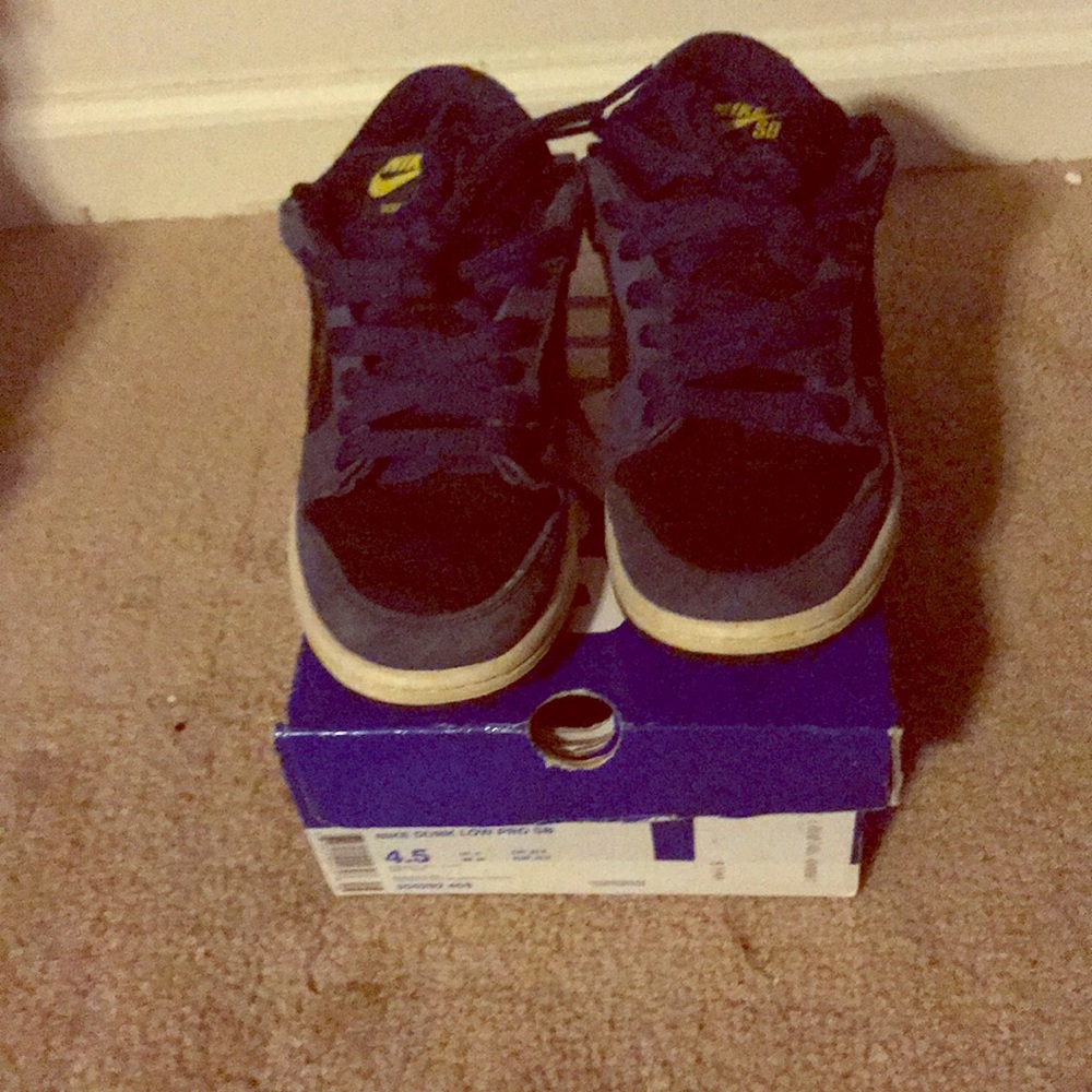 Nike dunk SB